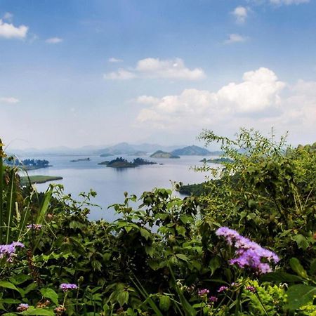 Bwindi Impenetrable Park Chameleon Hill Forest Lodge المظهر الخارجي الصورة