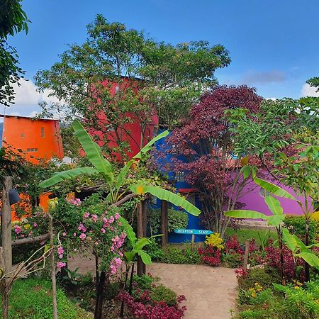 Bwindi Impenetrable Park Chameleon Hill Forest Lodge المظهر الخارجي الصورة