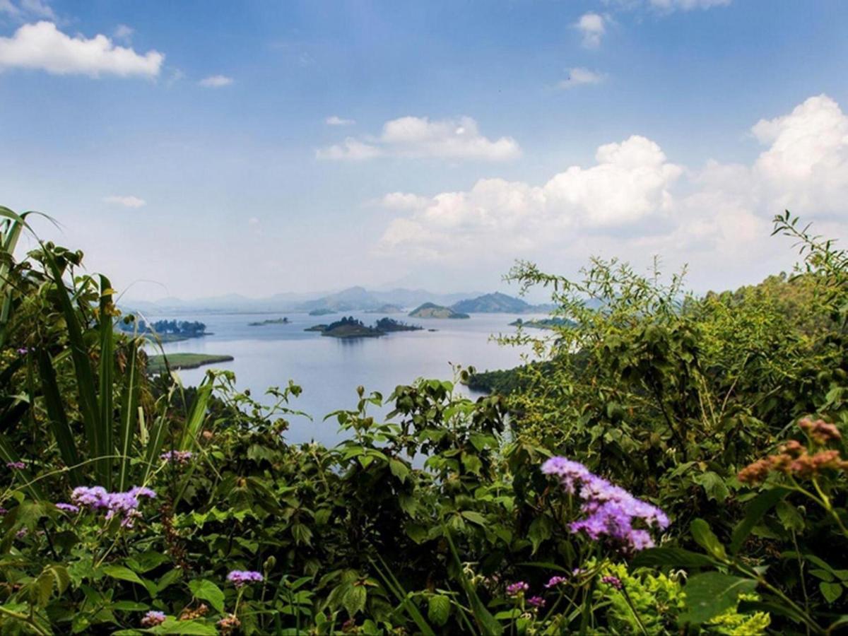 Bwindi Impenetrable Park Chameleon Hill Forest Lodge المظهر الخارجي الصورة
