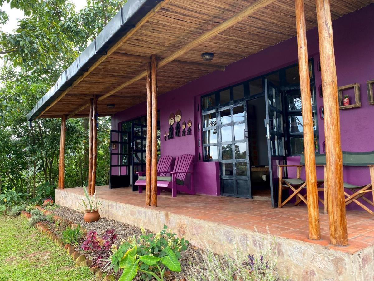 Bwindi Impenetrable Park Chameleon Hill Forest Lodge المظهر الخارجي الصورة