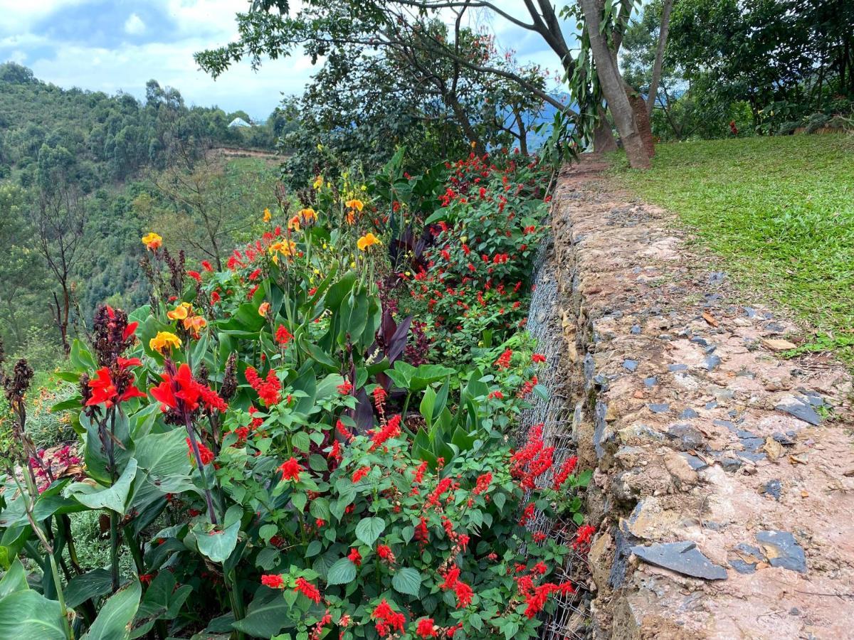 Bwindi Impenetrable Park Chameleon Hill Forest Lodge المظهر الخارجي الصورة