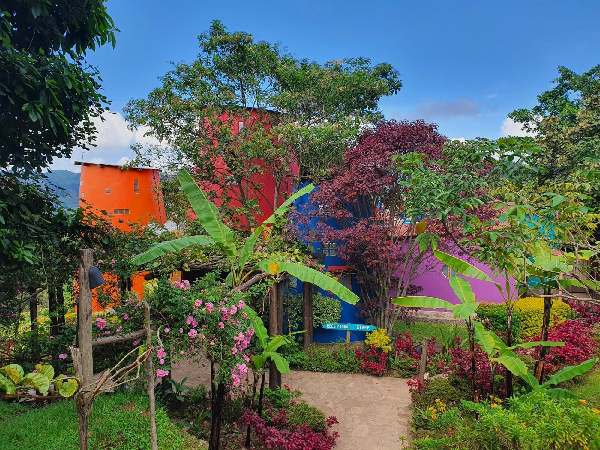 Bwindi Impenetrable Park Chameleon Hill Forest Lodge المظهر الخارجي الصورة
